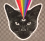 Black Cat - Never Shout Never