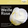 Weisse Rose - U. Zimmermann