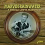 A Whole Lotta Marvin - Marvin Rainwater