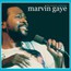 Concert Anthology - Marvin Gaye