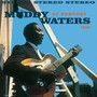 Muddy Waters At Newport 1960 - Muddy Waters
