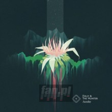 Awake - Folly & The Hunter