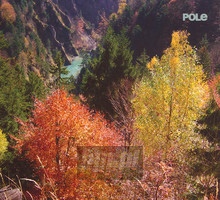 Wald - Pole