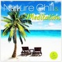 Nature Chill & Meditation - V/A