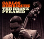 Bronx Pyramid - Carlos Henriquez