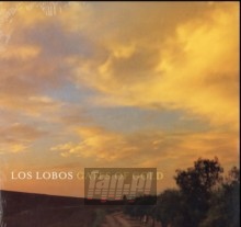 Gates Of Gold - Los Lobos