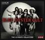 I Love The Night: The Ultimate Blue Oyster Cult - Blue Oyster Cult