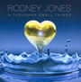 A Thousand Small Things - Rodney Jones