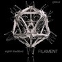 Filament - Dessner  /  Eighth Blackbird  /  Dessner  /  Muhly