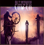 Citizen - Billy Sherwood