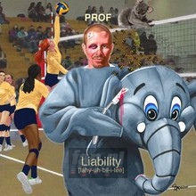 Liability - Prof