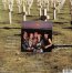 Taken By Force - Scorpions - powiększ Taken By Force - Scorpions
