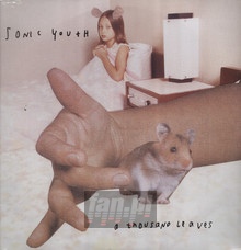 A Thousand Leaves - Sonic Youth