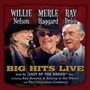 Willie Merle & Ray: Big Hits Live From The Last Of The Breed - V/A
