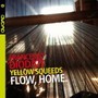 Flow, Home - Francesco Diodati Yellow Squeeds
