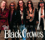 Live In Atlantic City 1990 - The Black Crowes 