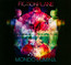 Mondo Lumina - Fiction Plane Mondo Lumina - Fiction Plane