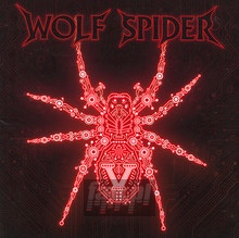 V - Wolf Spider - bigger V - Wolf Spider