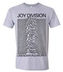 Unknown Pleasures _TS825641049_ - Joy Division