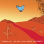 But This Chicken Proved False - Translucent Blue Vinyl + Dow - Sam Amidon