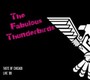 Taste Of Chicago - The Fabulous Thunderbirds 