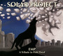 Final Solution: 25TH Anniversay Solution - Solar Project
