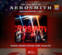 Rare Gems From The Vaults-Aerosmith Broadcasting Live - Aerosmith