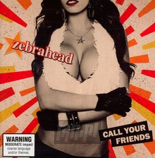 Call Your Friends - Zebrahead