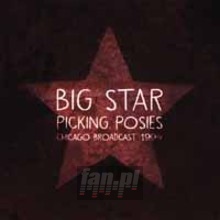 Picking Posies - Big Star