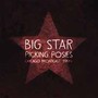 Picking Posies - Big Star