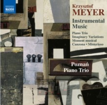 Instrumental Music - Meyer  /  Poznan Piano Trio