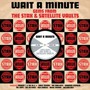 Wait A Minute: Gems From The Stax & Satellite Vaul - V/A