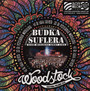 Przystanek Woodstock 2014 - Cie Wilekiej Gry Live - Budka Suflera