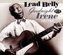 Good Night, Irene - Leadbelly