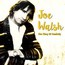 The King Of Comedy - Joe Walsh