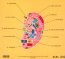 Brilliant Sanity - Teleman - bigger Brilliant Sanity - Teleman