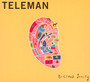 Brilliant Sanity - Teleman