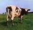 Atom Heart Mother - Pink Floyd