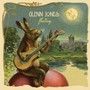 Fleeting - Glenn Jones