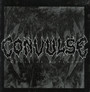 Cycle Of Revenge - Convulse