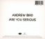 Are You Serious - Andrew Bird