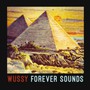Forever Sounds - Wussy