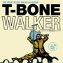 Great Blues Vocals & Guitar - T Walker -Bone