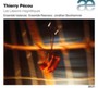 Thierry Pecou: Les Liaisons Magnetiques - Thierry  Pecou  /  Ensemble Variances