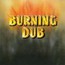 Burning Dub - Revolutionaries