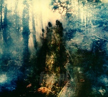 Wistful - Sylvaine - bigger Wistful - Sylvaine