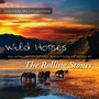 Wild Horses - Judson Mancebo