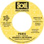 Panic/Captain Of Your Shi - Reparata & The Delrons