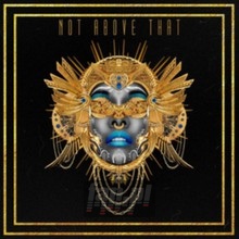 Not Above That - Dawn Richard