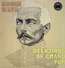 Delusions Of Grand Fur - Rogue Wave
